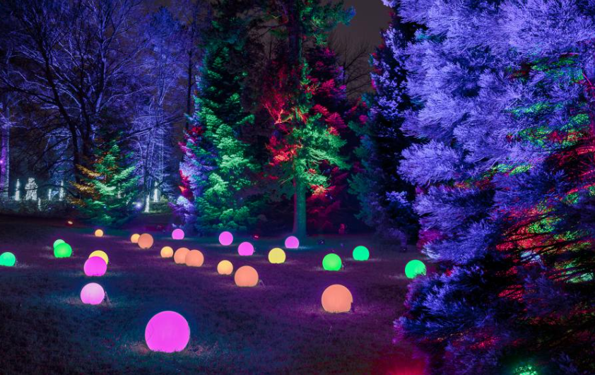 Christmas Garden im Botanischen Garten Berlin: Wo Tickets kaufen und alle Preise