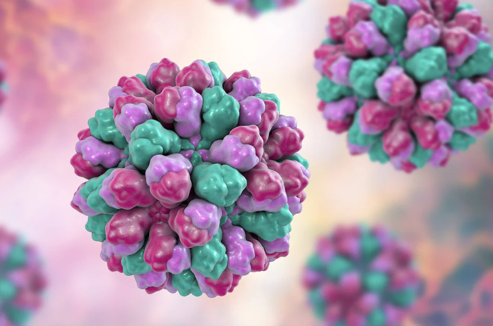 AIDAdiva: Norovirus-Ausbruch auf Weltreise bestätigt – 101 Erkrankte laut CDC