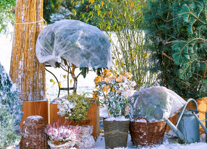 Gartenkalender Dezember: Wichtigste Arbeiten, Pflegetipps & Winterschutz im Überblick