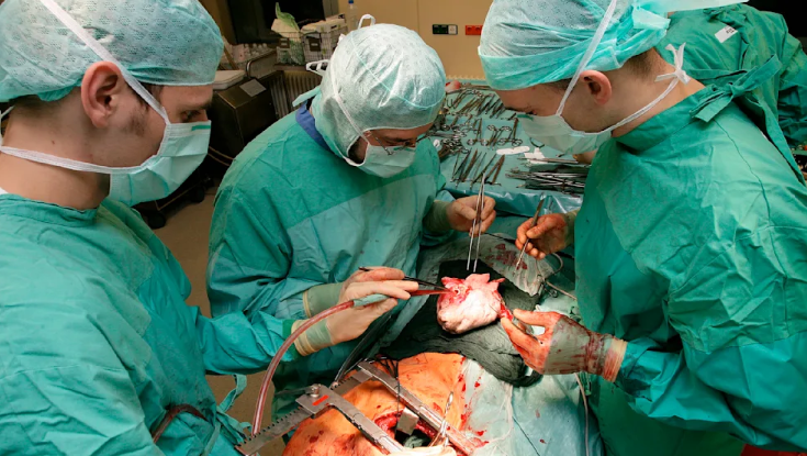 Lungentransplantation bei Mette-Marit: Was über den Eingriff bekannt ist und wie er abläuft